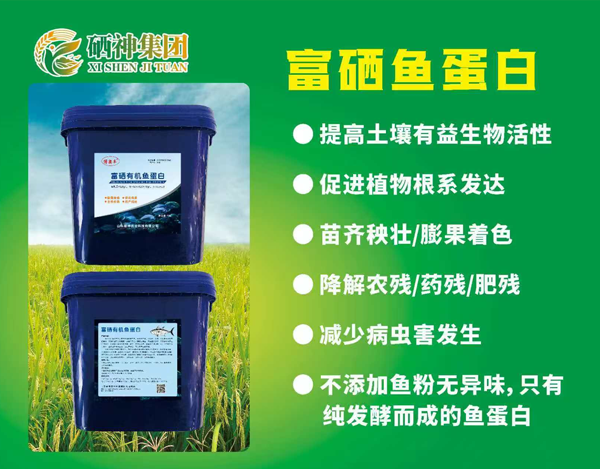 博奥丰富硒鱼蛋白